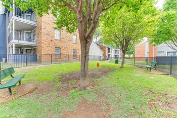 A tree in a grassy area with a red fire hydrant in the background.